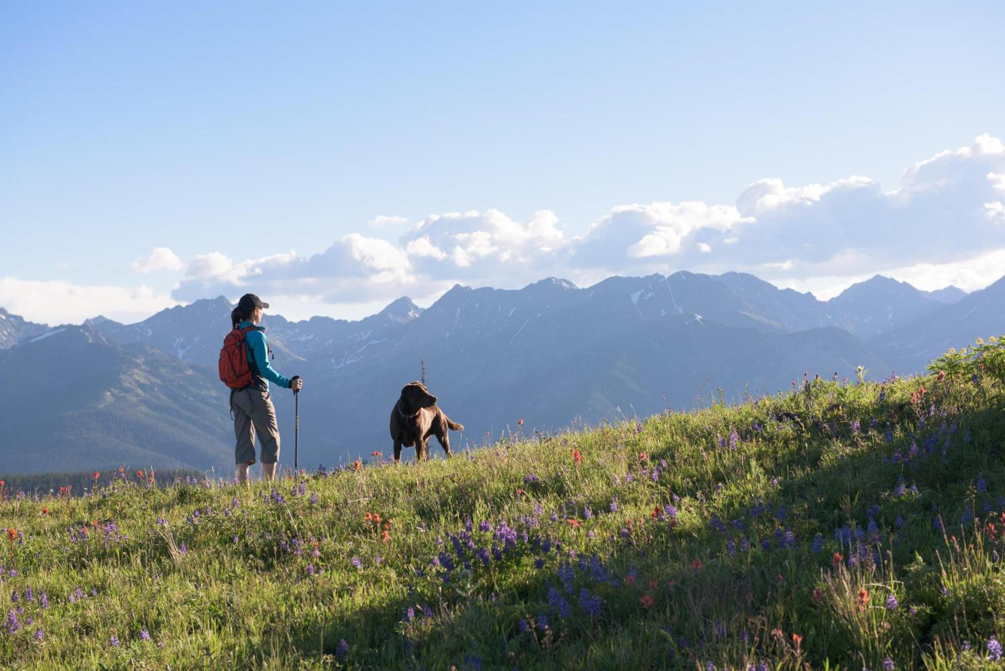 Lift House Lodge, Pet Friendly, Premium Studio Condo Vail Exterior foto